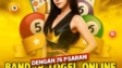 Bandar Casino XL Terpercaya untuk Anda Mainkan Sekarang