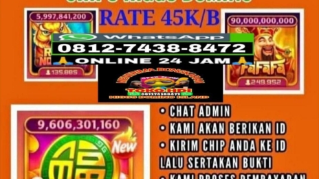 Agen Domino Terbaik Untuk Anda